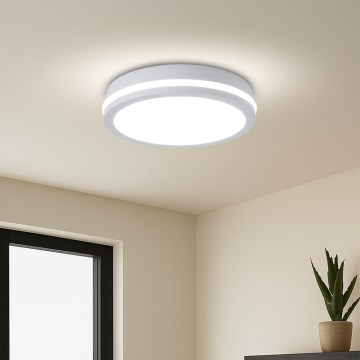 Brilagi - LED spoljašnje plafonsko svetlo sa senzorom BENE LED/24W/230V prečnika 26 cm, belo, IP54