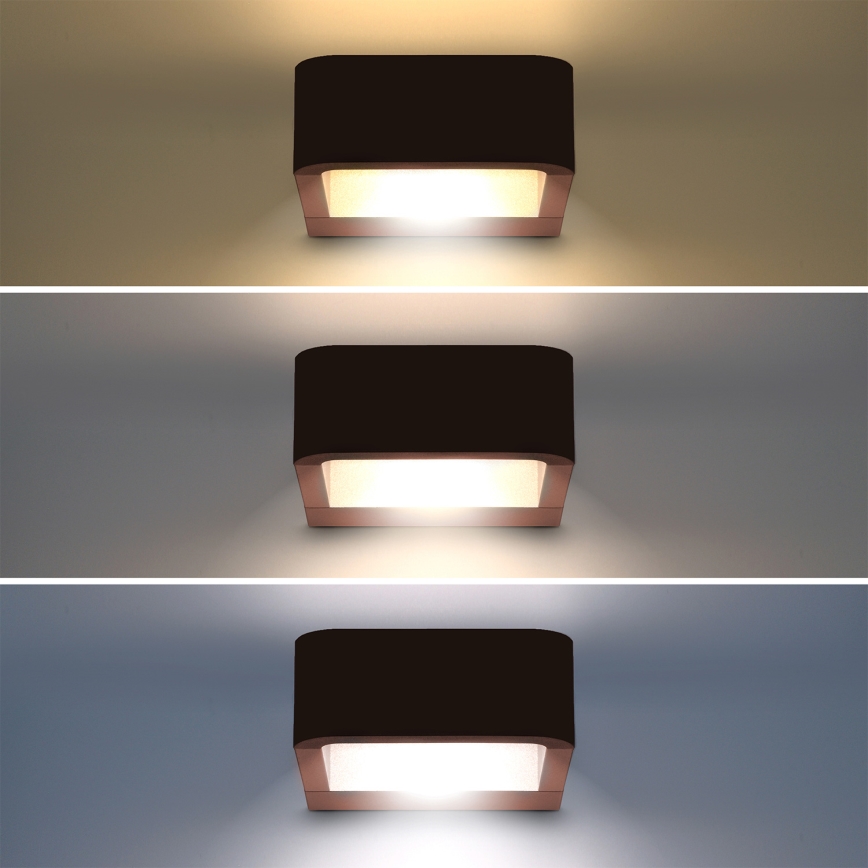 Brilagi - LED spoljašnje zidno svetlo BARI LED/7W/230V 3000/4000/6000K braon IP54