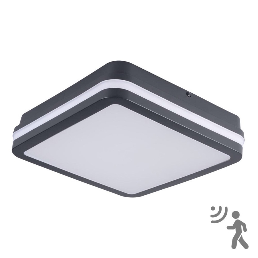 Brilagi - LED spoljašnje svetlo sa senzorom BENE LED/18W/230V 22x22 cm antracit IP54