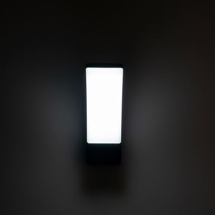 Brilagi - LED spoljašnje zidno svetlo ARCELO LED/9W/230V IP44