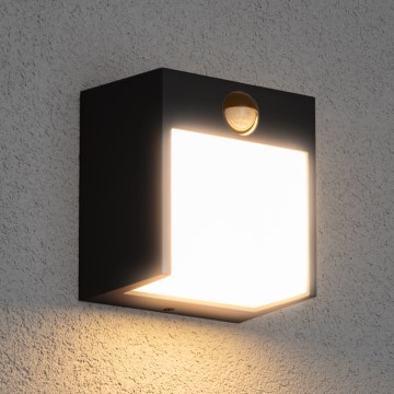 Brilagi - LED spoljašnje zidno svetlo sa senzorom TERNI LED/12W/230V crna IP44