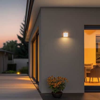 Brilagi - LED Spoljašnje zidno svetlo sa senzorom TERNI LED/12W/230V sivo IP44