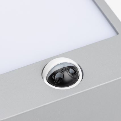 Brilagi - LED Spoljašnje zidno svetlo sa senzorom TERNI LED/12W/230V sivo IP44