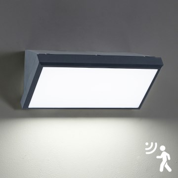 Brilagi - LED spoljašnje zidno svetlo sa senzorom TRIANGLE LED/20W/230V antracit IP65