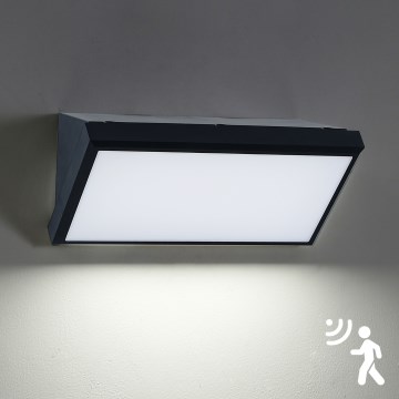 Brilagi - LED spoljašnje zidno svetlo sa senzorom TRIANGLE LED/20W/230V crna IP65
