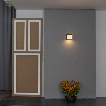 BRILAGI - LED spoljašnje zidno svetlo TERNI LED/12W/230V braon IP44