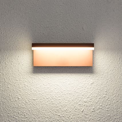 Brilagi - LED spoljašnje zidno svetlo TESSI LED/10W/230V braon IP54
