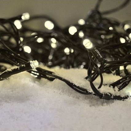 Brilagi - LED spoljašnji niz 100xLED/8 funkcija 13 m IP44 topla bela