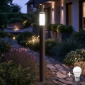 BRILAGI - LED spoljna lampa ELIA 1xE27/7W/230V 4000K IP44 100 cm antracit