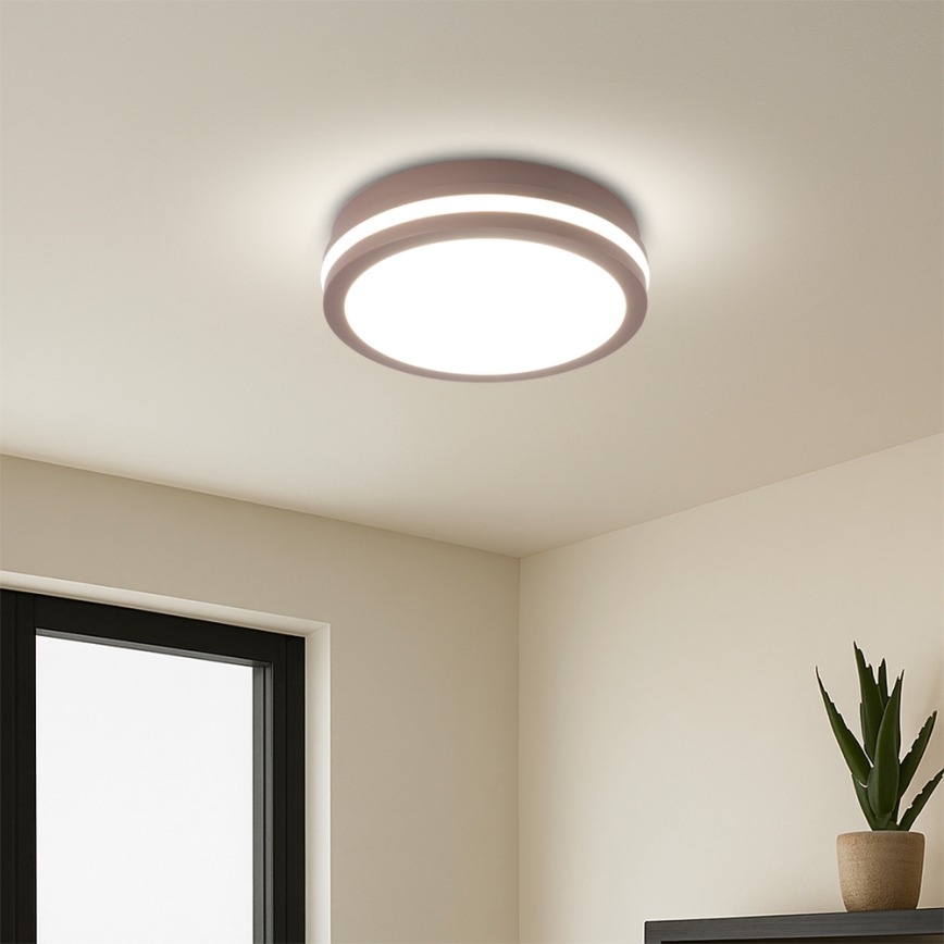 Brilagi - LED spoljna plafonska svetiljka BENE LED/18W/230V fi 21,5 cm braon IP54