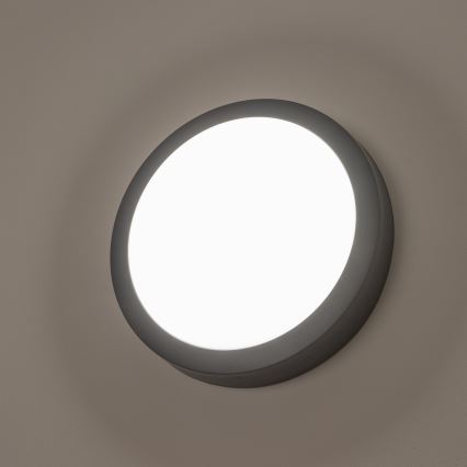 Brilagi - LED spoljna plafonska svetiljka LED/20W/230V prečnik 23 cm IP54 antracit