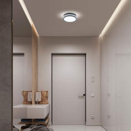 BRILAGI - LED spoljašnje svetlo BENE LED/18W/230V prečnik 22 cm antracit IP54