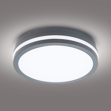 Brilagi - LED spoljna svetiljka BENE LED/24W/230V prečnika 26 cm antracit IP54