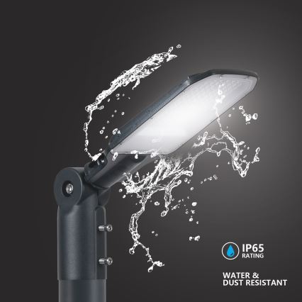 Brilagi - LED spoljna ulična lampa URBANLIGHT LED/50W/230V antracit IP65