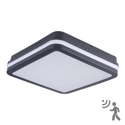 Brilagi - LED spoljašnje svetlo sa senzorom pokreta BENE LED/24W/230V 26x26 cm antracit IP54