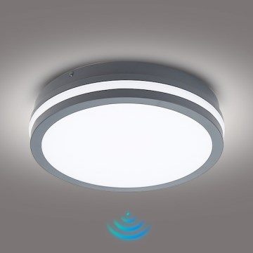 Brilagi - LED spoljno svetlo sa senzorom BENE LED/24W/230V, prečnik 26 cm, antracit, IP54
