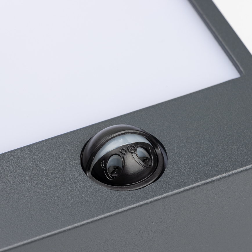 Brilagi - LED spoljašnje zidno svetlo sa senzorom TERNI LED/12W/230V antracit IP44