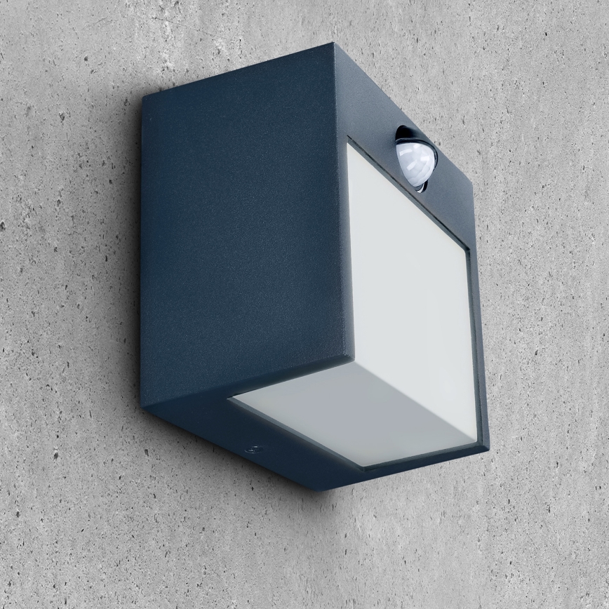 Brilagi - LED spoljašnje zidno svetlo sa senzorom TERNI LED/12W/230V antracit IP44