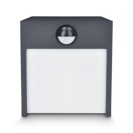 Brilagi - LED spoljašnje zidno svetlo sa senzorom TERNI LED/12W/230V antracit IP44
