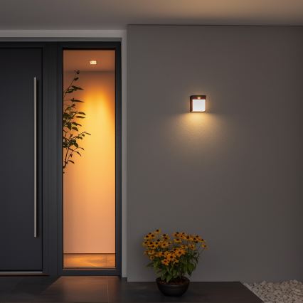 Brilagi - LED spoljašnje zidno svetlo sa senzorom TERNI LED/12W/230V crna IP44