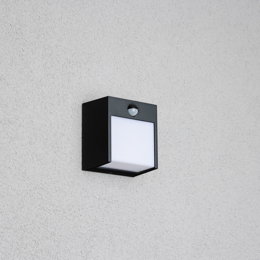 Brilagi - LED spoljašnje zidno svetlo sa senzorom TERNI LED/12W/230V crna IP44