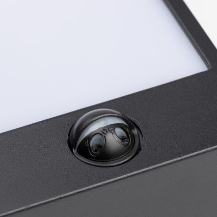 Brilagi - LED spoljašnje zidno svetlo sa senzorom TERNI LED/12W/230V crna IP44