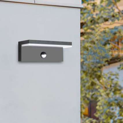 Brilagi - LED spoljašnja zidna svetiljka sa senzorom TESSI LED/10W/230V antracitna IP54