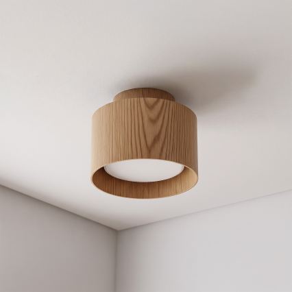 BRILAGI - LED spot svetlo BACKLIT 1xGX53/15W/230V + LED/3W prečnik 10 cm u dekoru hrasta