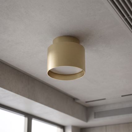BRILAGI - LED spot svetiljka BACKLIT 1xGX53/15W/230V + LED/3W prečnik 8 cm zlatna