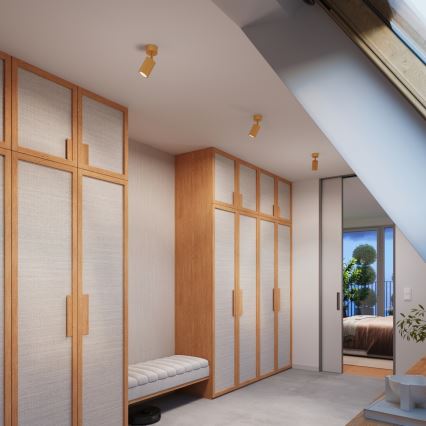 Brilagi - LED spot svetiljka CRESTO 1xGU10/10W/230V zlatna