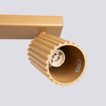 Brilagi - LED spot svetiljka CRESTO 2xGU10/10W/230V zlatna