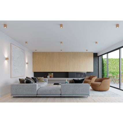 Brilagi -  LED spot svetiljka FRIDA 1xGU10/7W/230V