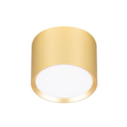 BRILAGI - LED spot svetiljka SMOOTH 1xGX53/15W/230V 60x82 mm zlatna