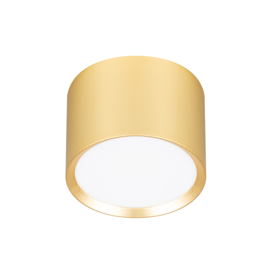 Brilagi - LED spot svetiljka SMOOTH 1xGX53/15W/230V zlatna