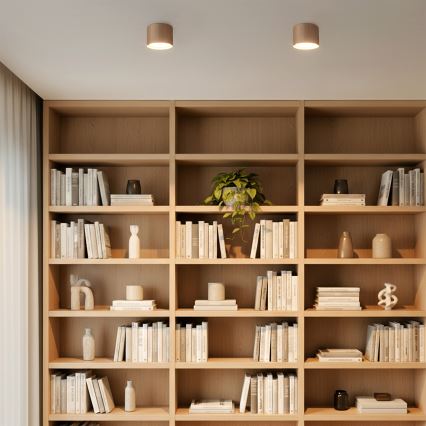 Brilagi - LED Spot svetiljka STRIPY 1xGX53/15W/230V bež