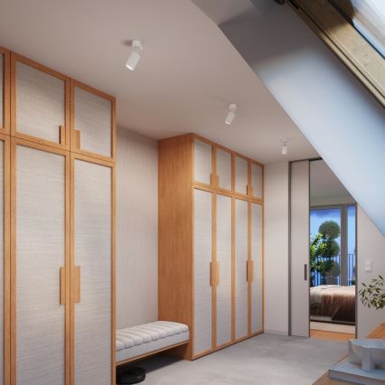 Brilagi - LED spot svetlo CRESTO 1xGU10/10W/230V belo