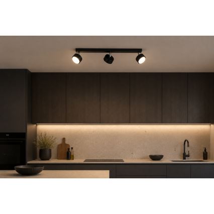 Brilagi - LED spot svetlo MONO 3xGX53/30W/230V crna