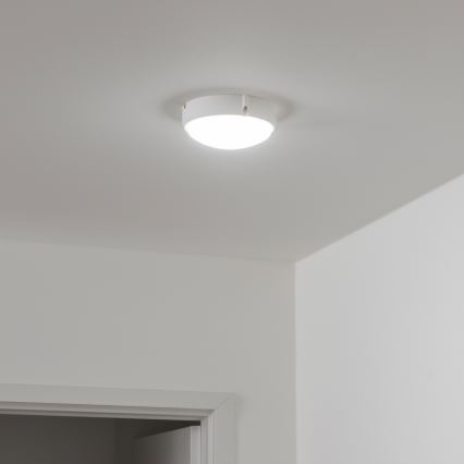 Brilagi - LED stropna industrijska svetiljka SIMA LED/12W/230V IP65 bela