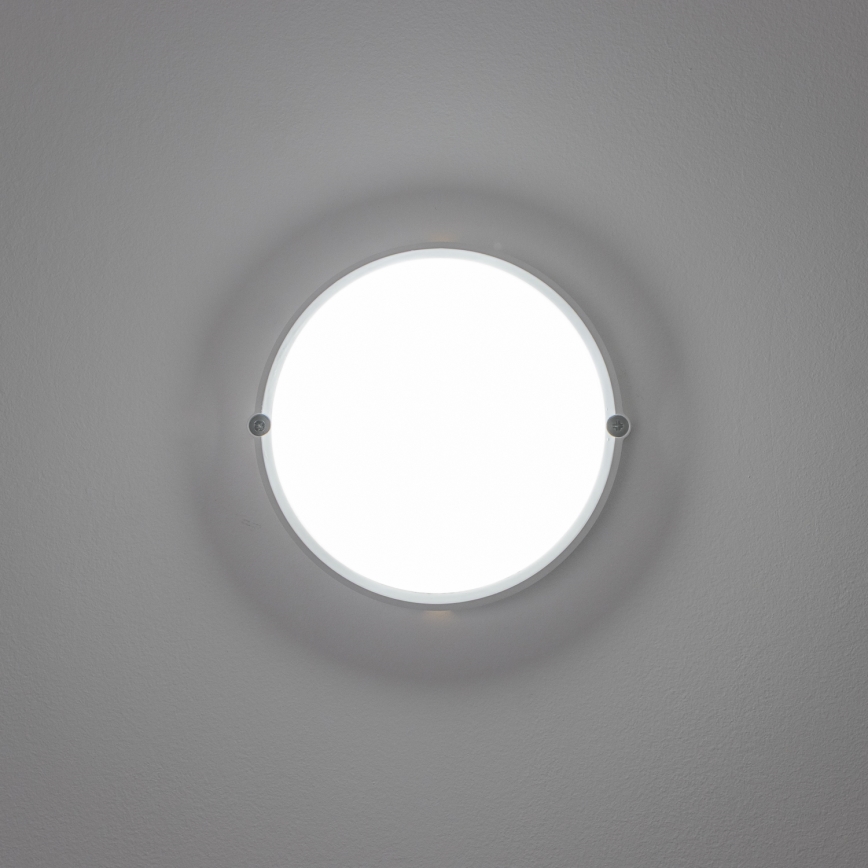 Brilagi - LED stropna industrijska svetiljka SIMA LED/12W/230V IP65 bela