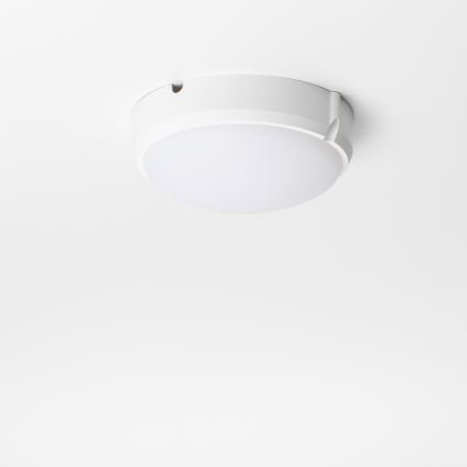 Brilagi - LED stropna industrijska svetiljka SIMA LED/12W/230V IP65 bela