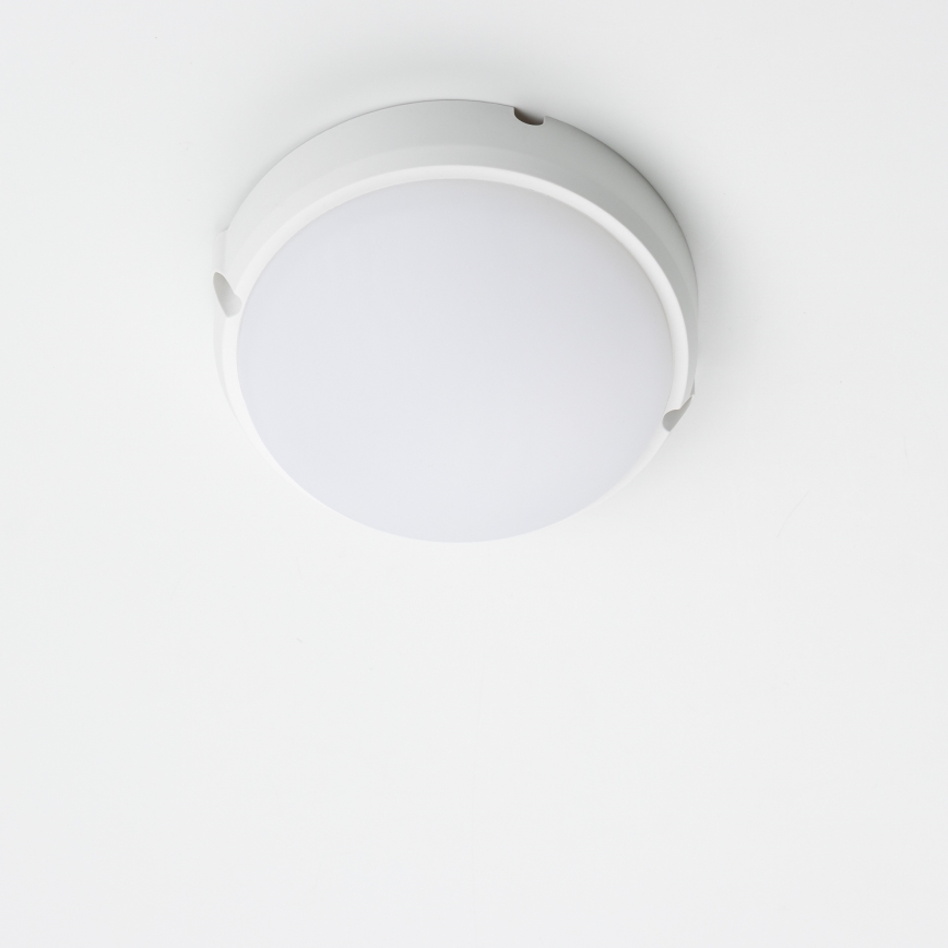 Brilagi - LED stropna industrijska svetiljka SIMA LED/12W/230V IP65 bela