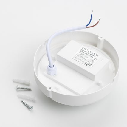 Brilagi - LED stropna industrijska svetiljka SIMA LED/12W/230V IP65 bela