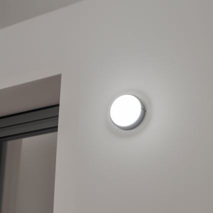 Brilagi - LED stropna industrijska svetiljka SIMA LED/12W/230V IP65 crna