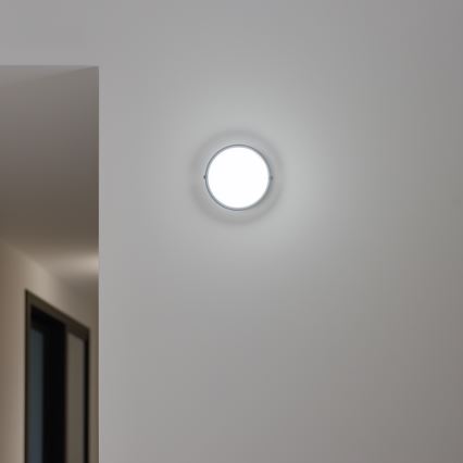 Brilagi - LED stropna industrijska svetiljka SIMA LED/12W/230V IP65 crna