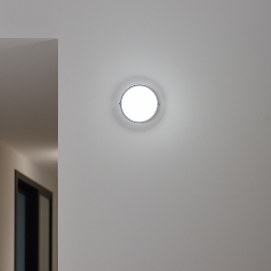 Brilagi - LED stropna industrijska svetiljka SIMA LED/12W/230V IP65 crna