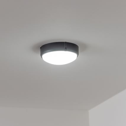 Brilagi - LED stropna industrijska svetiljka SIMA LED/12W/230V IP65 crna