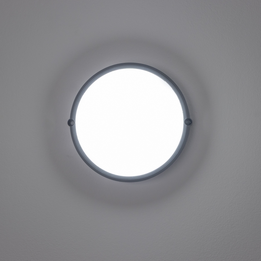 Brilagi - LED stropna industrijska svetiljka SIMA LED/12W/230V IP65 crna