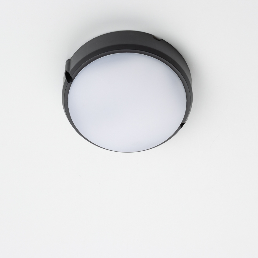 Brilagi - LED stropna industrijska svetiljka SIMA LED/12W/230V IP65 crna