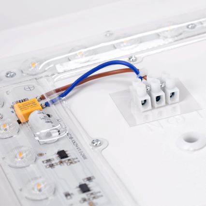 BRILAGI - LED stropna svetiljka PILANA LED/24W/230V hrast/bela 32x32 cm