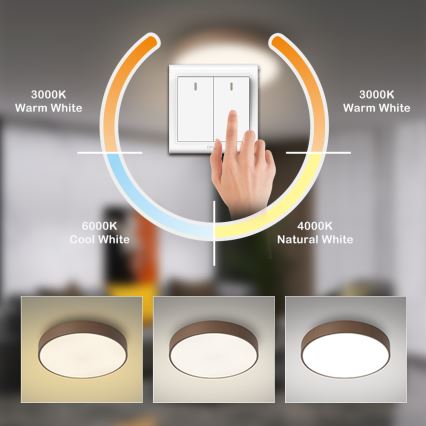 Brilagi - LED plafonsko svetlo POOL LED/36W/230V 3000/4000/6000K prečnik 30 cm braon